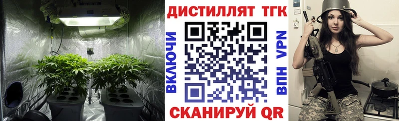 Купить закладки  Коряжма  ТГК THC oil 